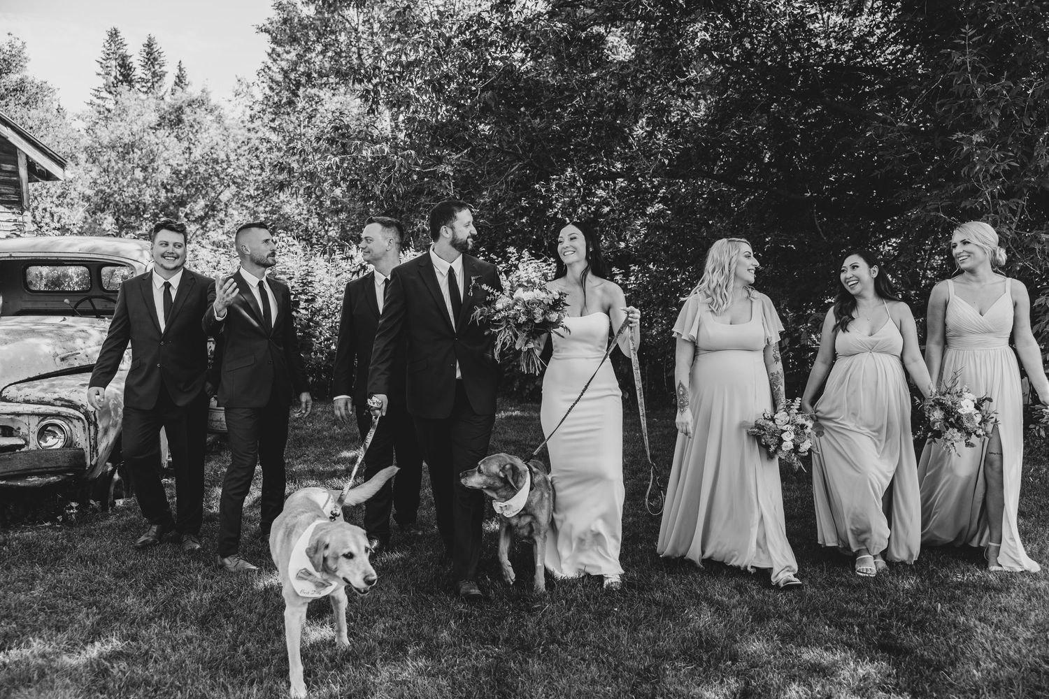 Wedding party poses outdoors with three dogs on leashes for a black and white photograph.