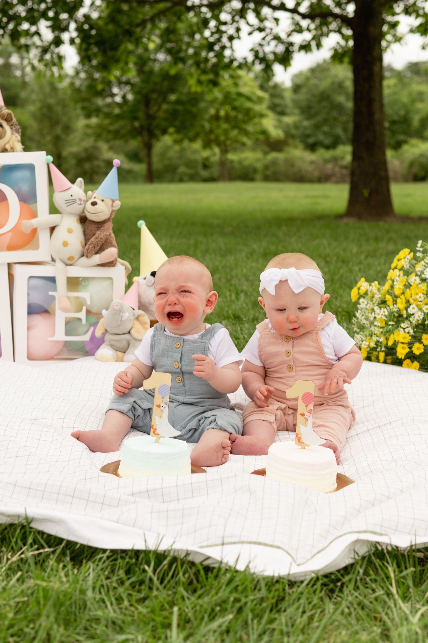 Two babies in matching outfits sit on a white blanket outdoors with plush toys and birthday decorations nearby.