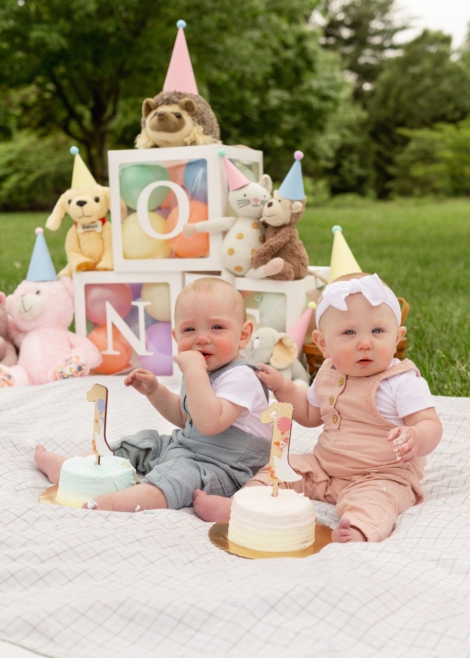 Summer cake smash photography with twins in a vintage birthday setup, stuffed animal party, at a park in Moorestown, NJ.
