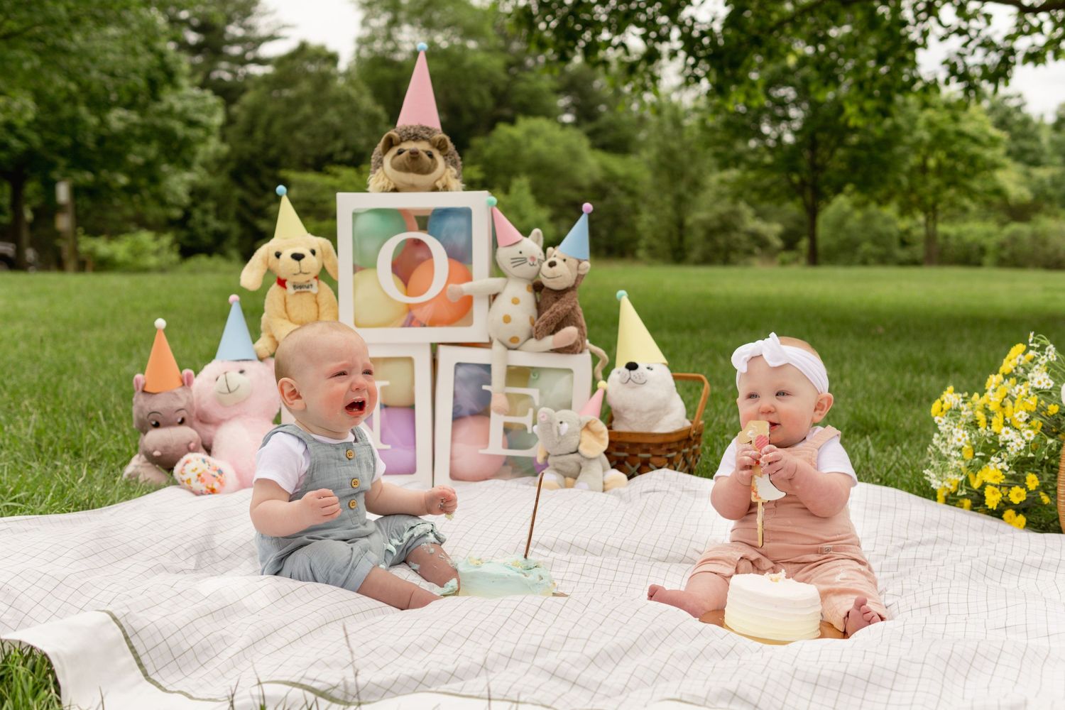 Two babies sit on a blanket with plush toys and a pink dollhouse during an outdoor photoshoot in a grassy park setting.