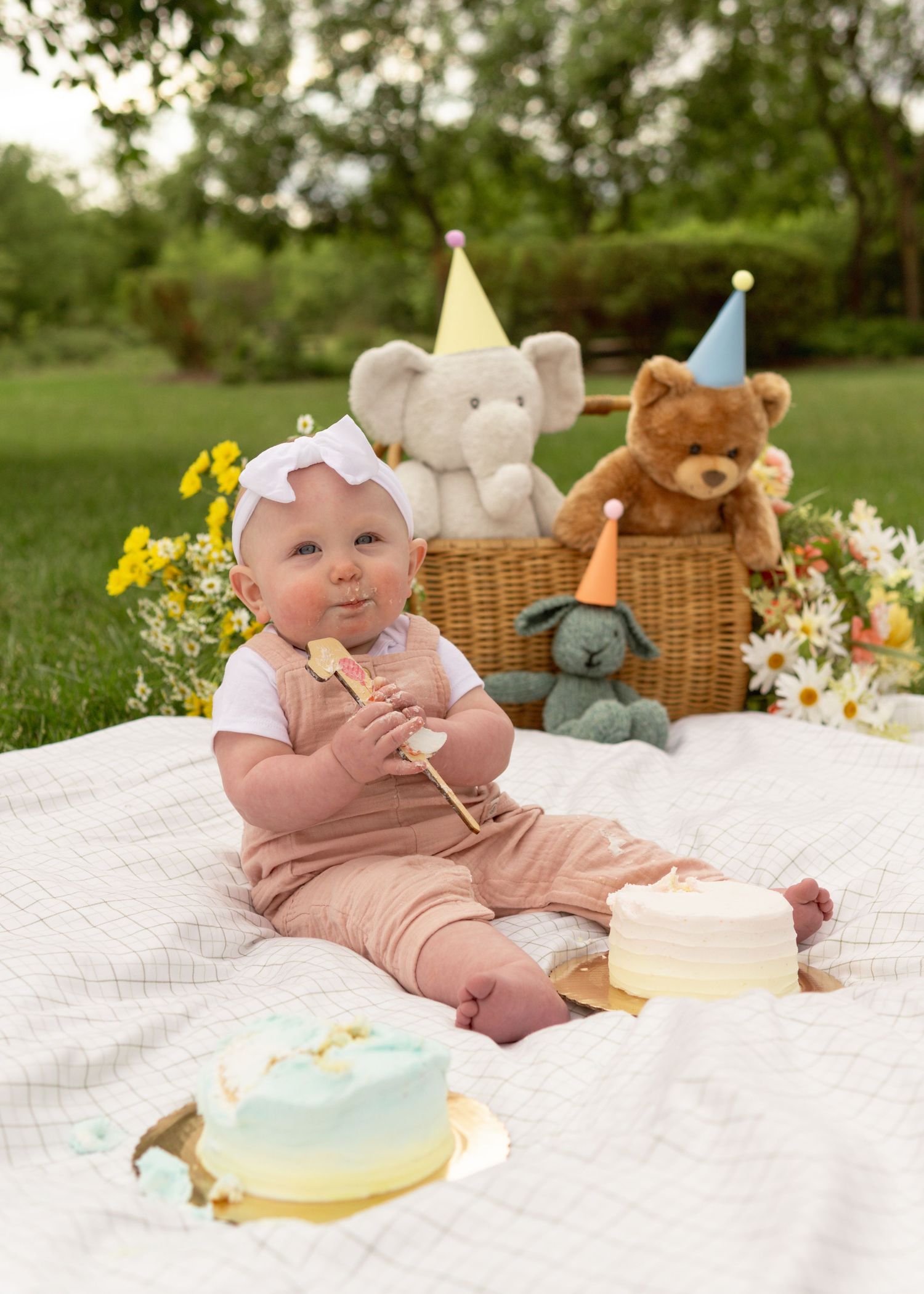 Vintage picnic setup with stuffed animals for a cake smash summer session at a south jersey park by a south jersey family photographer.