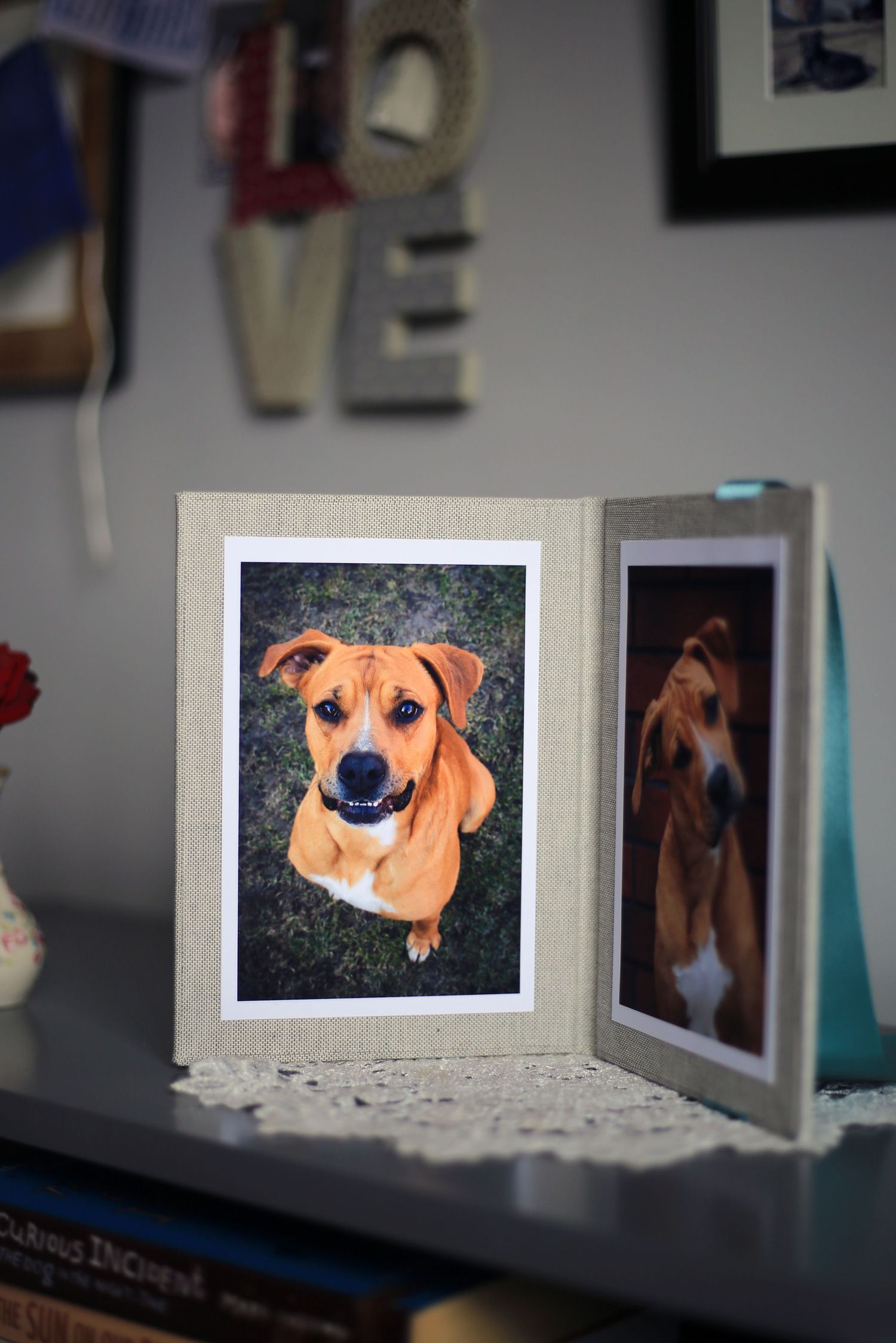 Barnsley, dog photography, dog photos, dog photographer, products
