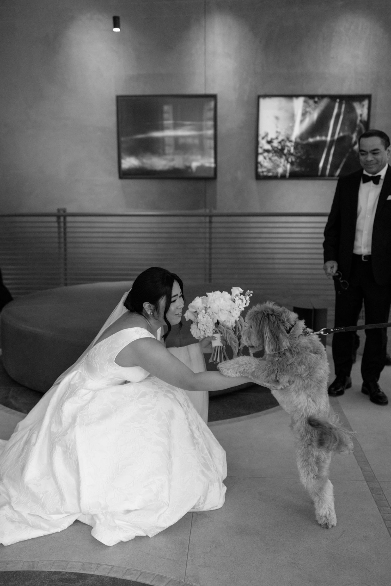 A bride in white wedding dress plays with her fluffy white dog at the hotel. Captured by Montreal wedding photographer, Aliza Dworkind.