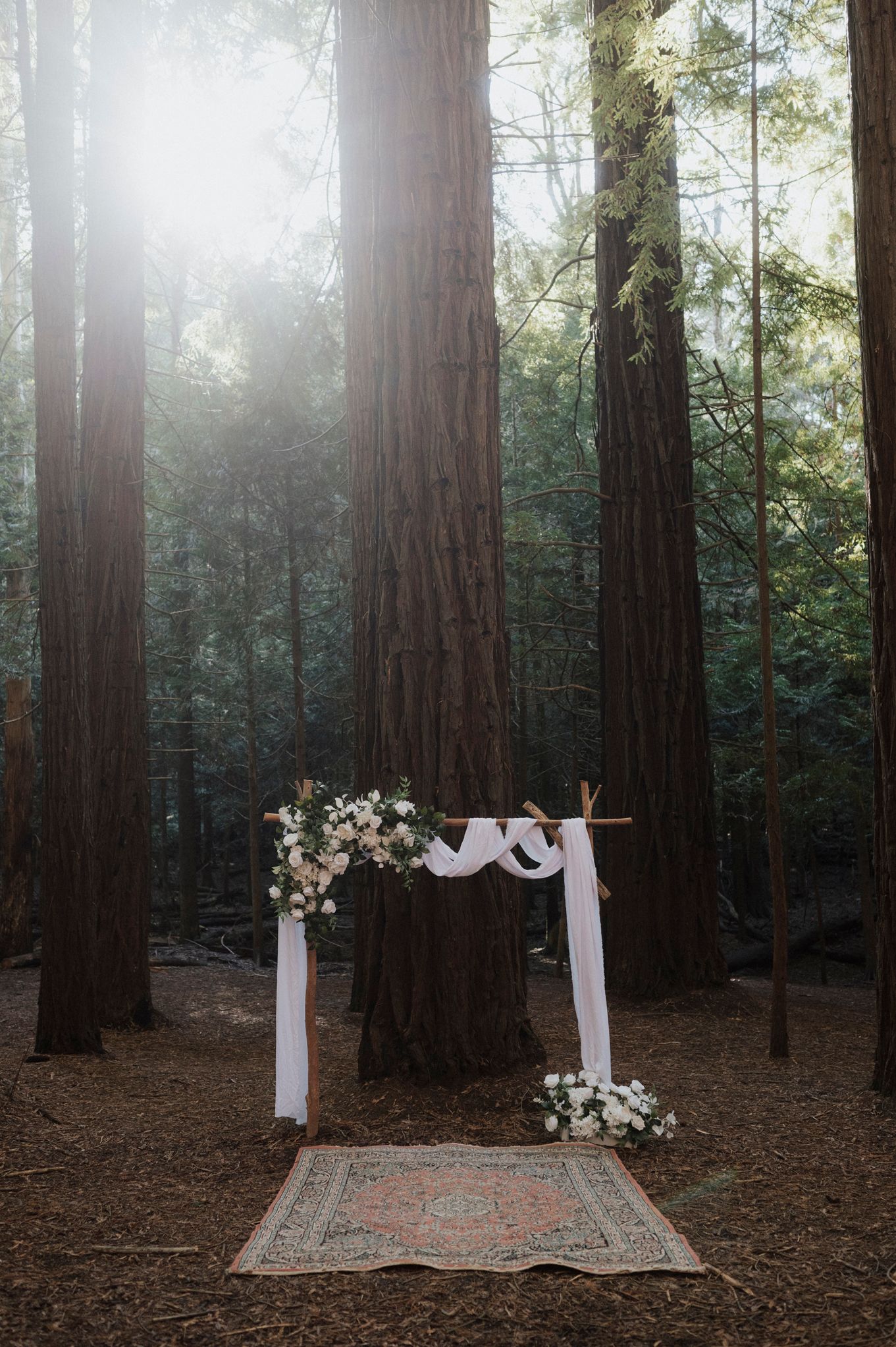 A simple white wedding arch adorned with flowers sits on a vintage rug among towering redwood trees in a misty forest.