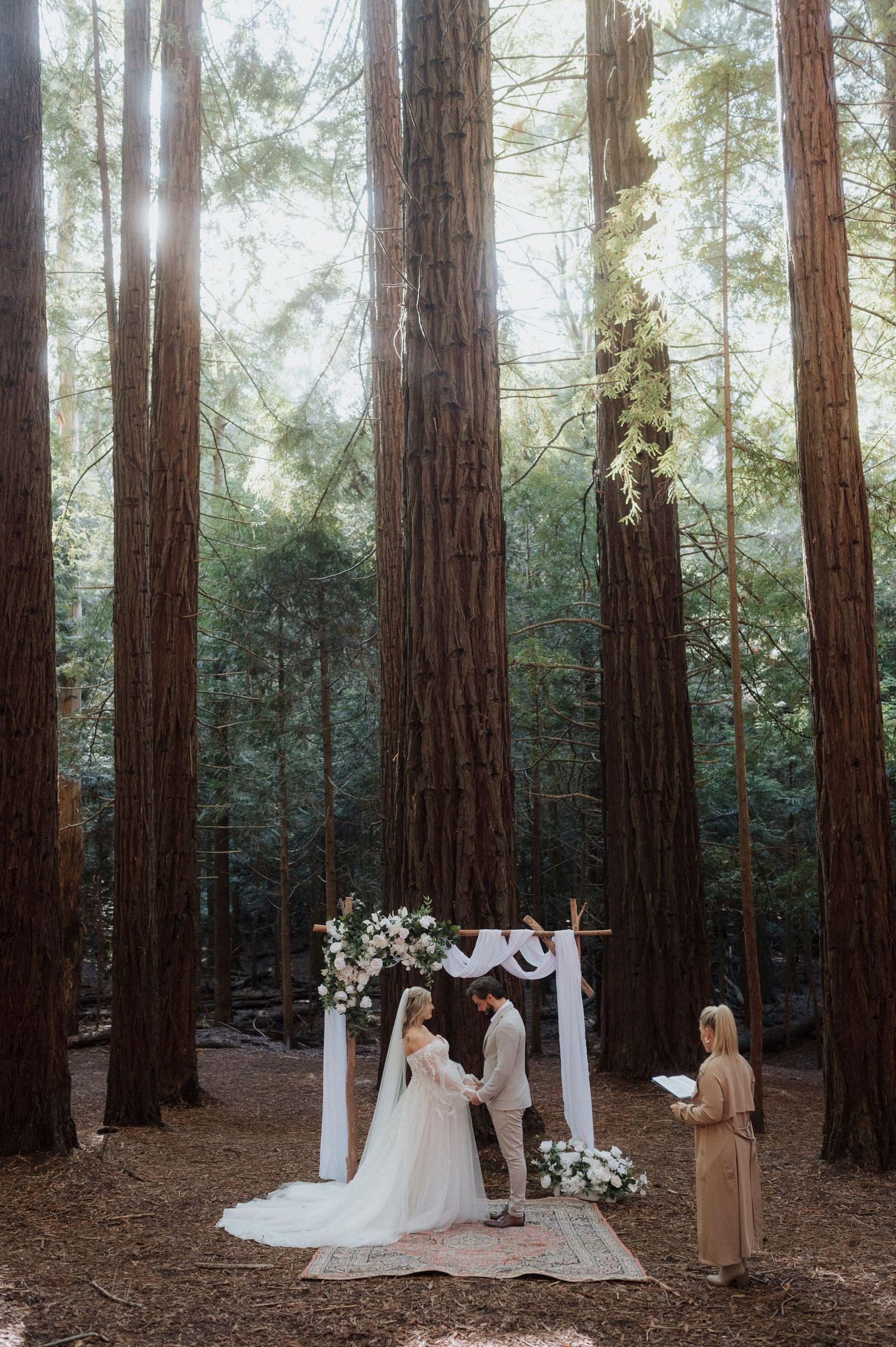 An intimate wedding ceremony takes place under towering redwood trees in a misty forest setting with a white fabric arch.
