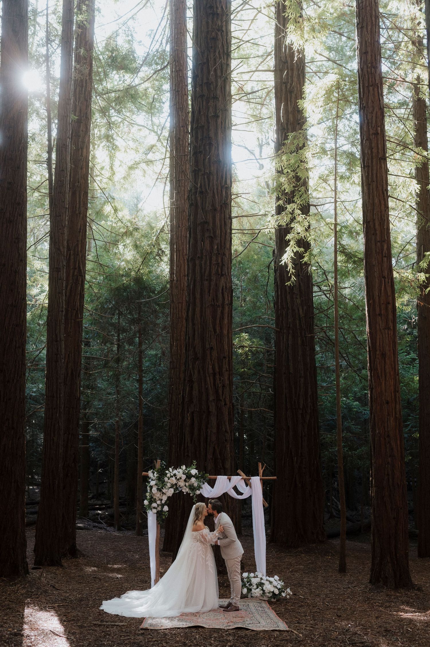 Tall redwood trees tower over an intimate forest wedding ceremony setup with white drapes and floral decor.
