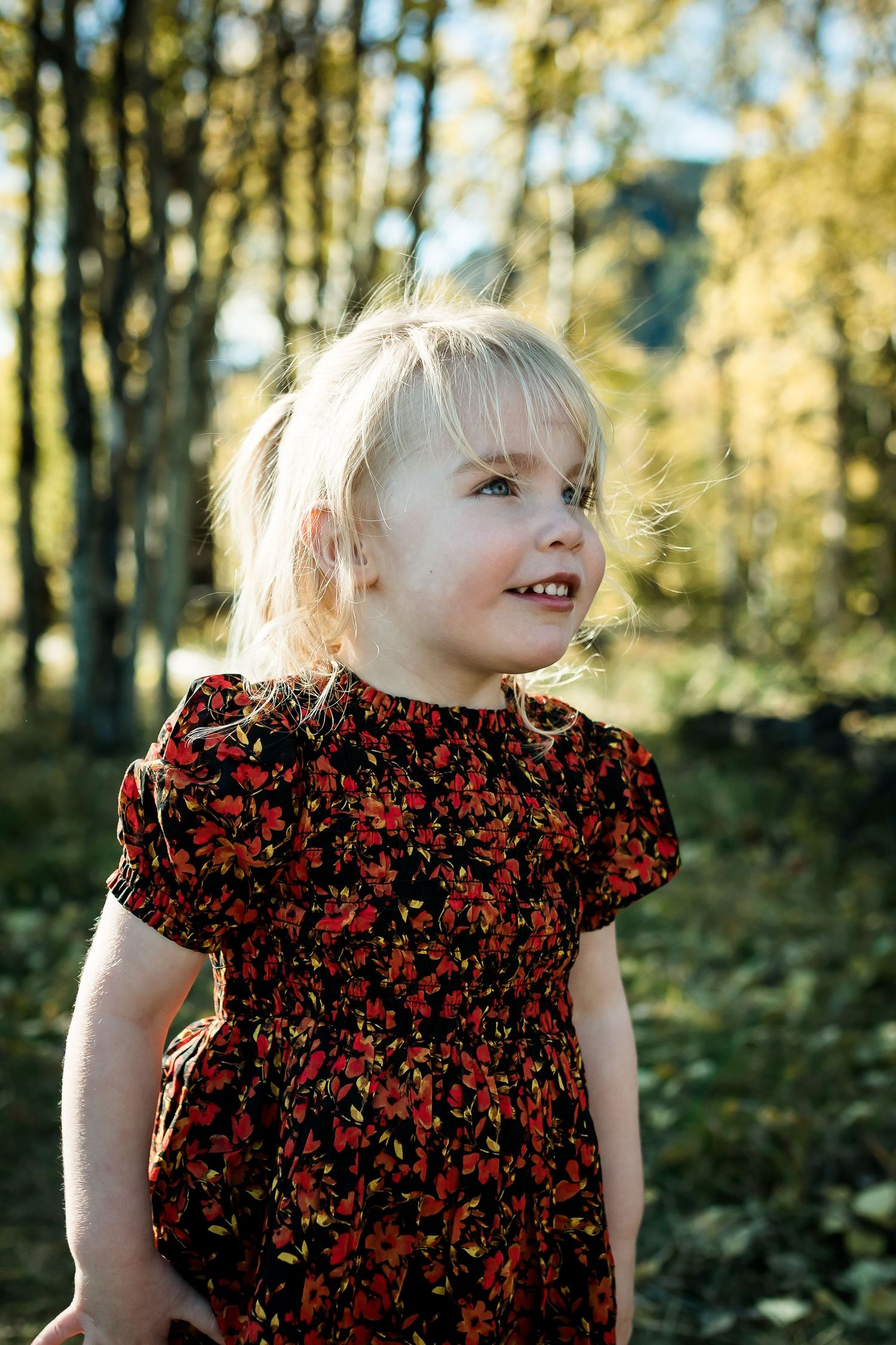 Portrait of young girl in fall leaves during fall family photos in Kananaskis mountains by Calgary lifestyle photographer.