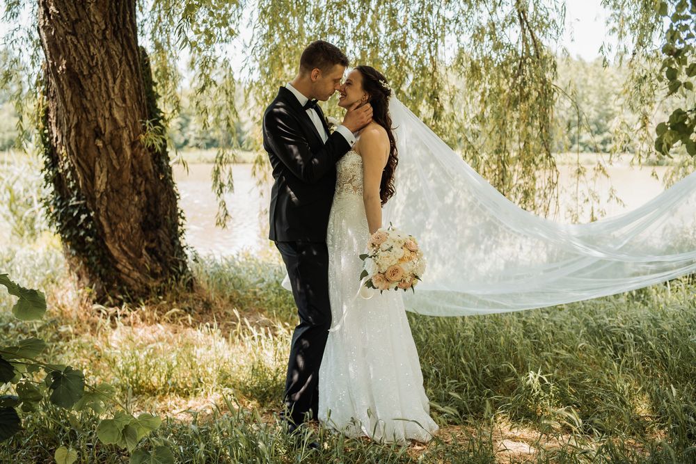 A romantic wedding couple embraces under a willow tree with a flowing white veil in a sunlit garden setting.
