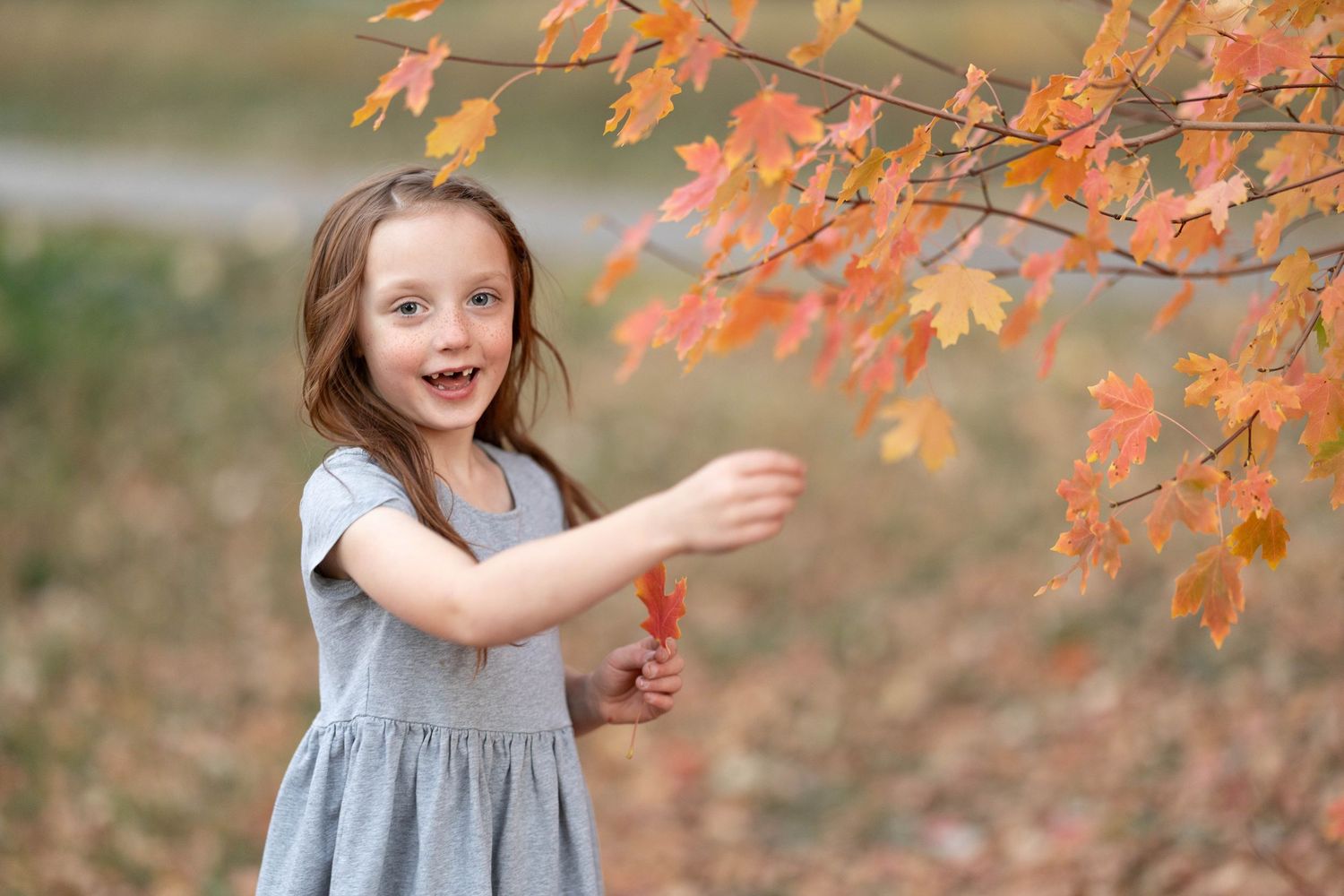 A joyful child in a gray dress plays with vibrant orange autumn leaves on a tree branch.