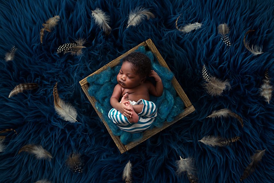 A creative photo series showing feathers floating around a sleeping figure in dark blue tones.