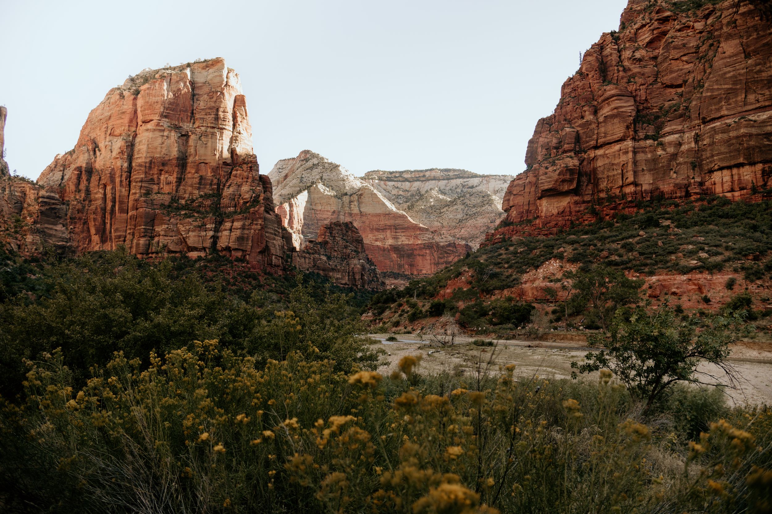 Red rock canyon walls and formations in Zion National Park with snow-capped peaks in background.