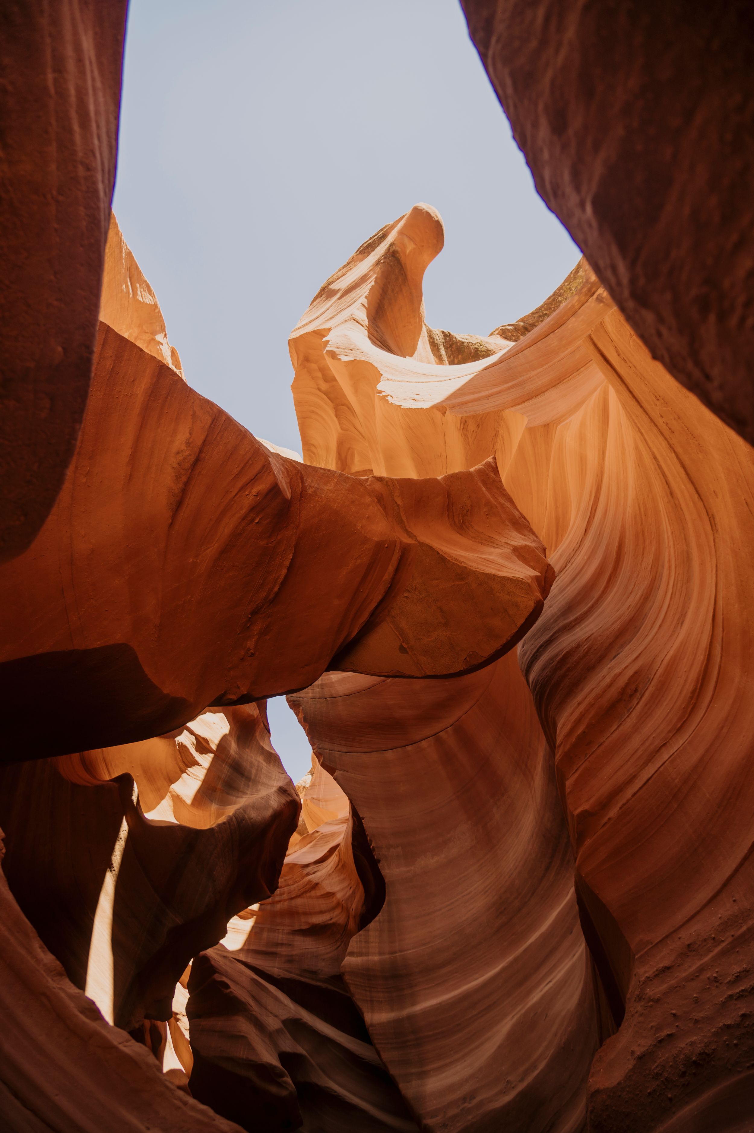 Smooth curved sandstone walls of Antelope Canyon glow in warm natural light.