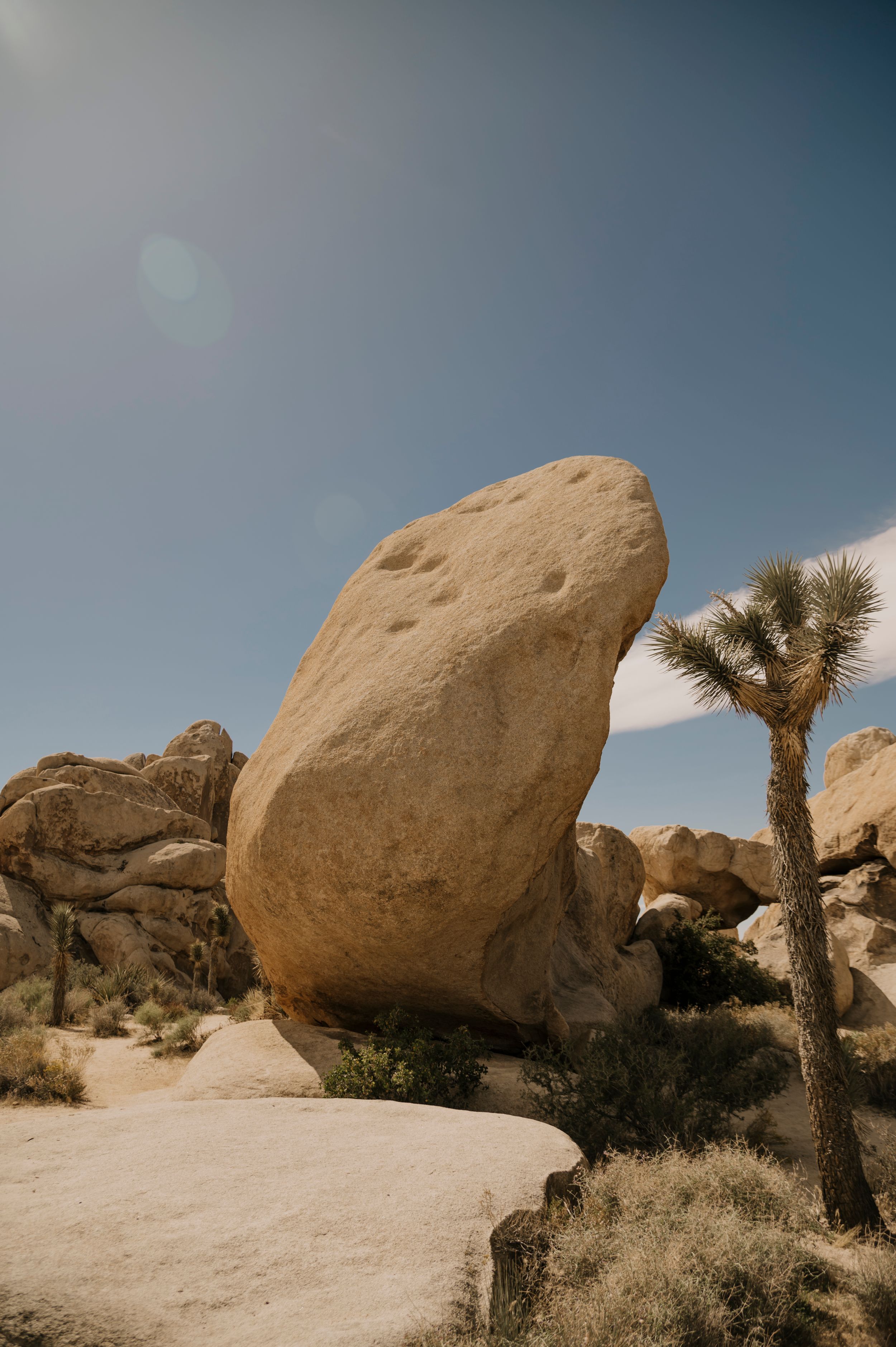 Large desert boulders and Joshua trees dot an arid landscape under bright blue skies.