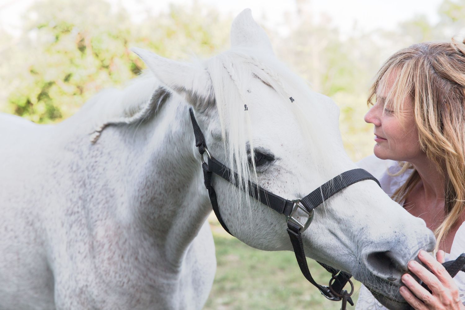 Woman affectionately nuzzling a grey horse wearing a halter outdoors with trees behind.