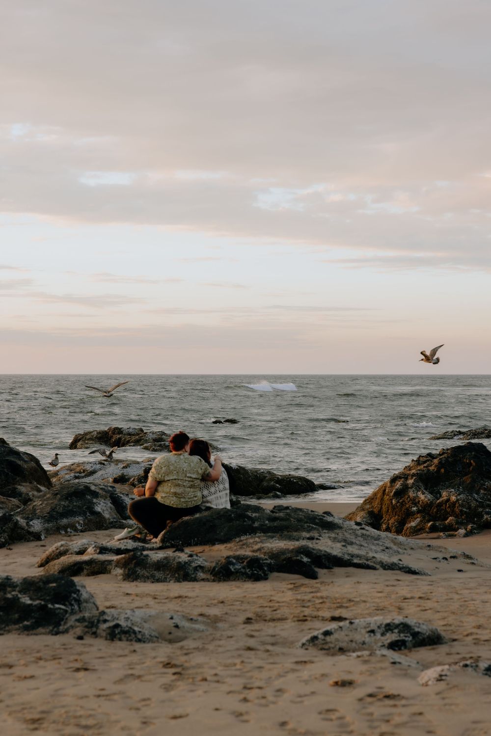 Rocky coastal beach landscape at sunset with seabirds flying over the ocean and dark rocks in the foreground.
