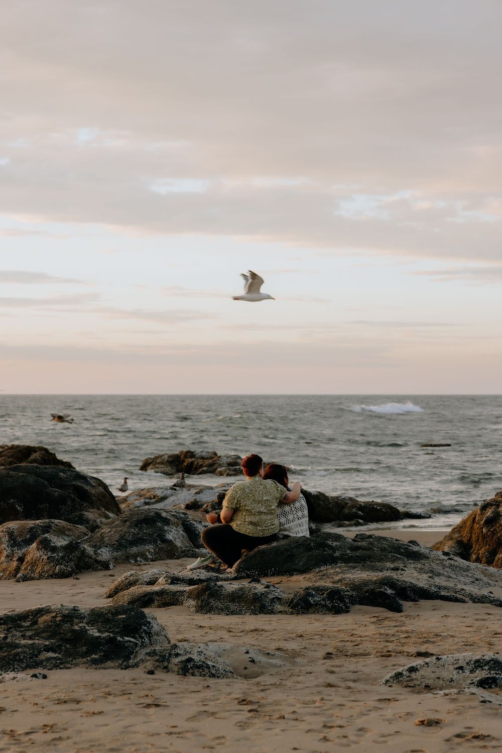 A seagull flies over a rocky beach coastline at sunset with waves crashing against dark boulders.