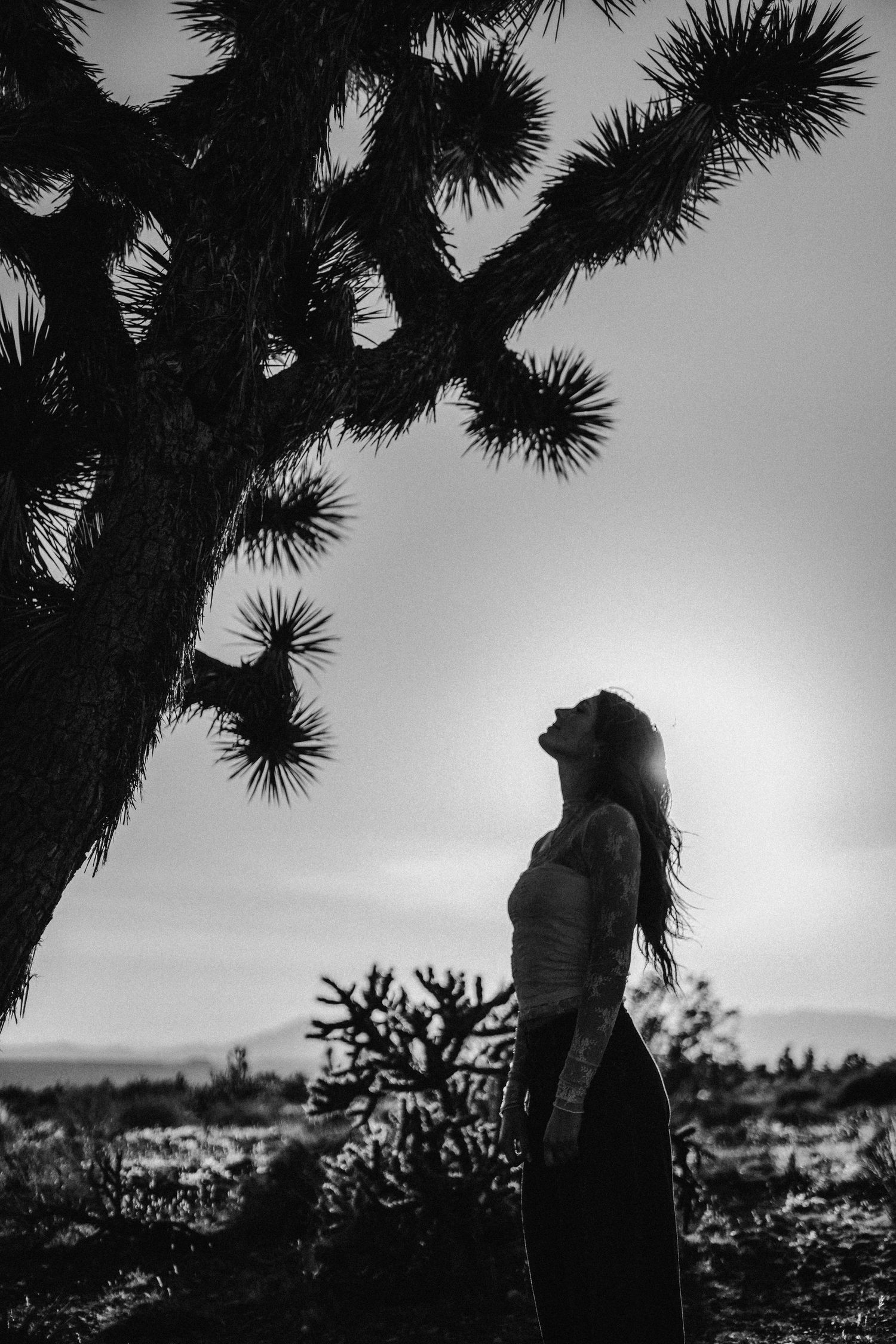 Silhouetted figure in white dress poses against golden sunset through tree branches in desert landscape.