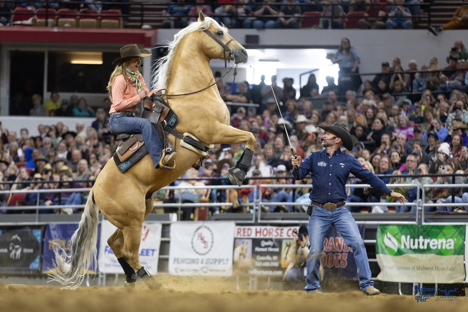 Amber Marshall Dan James Palomino horse rears up dramatically during indoor rodeo performance. Wisconsin Pro Rodeo PRCA Rodeo Photographer