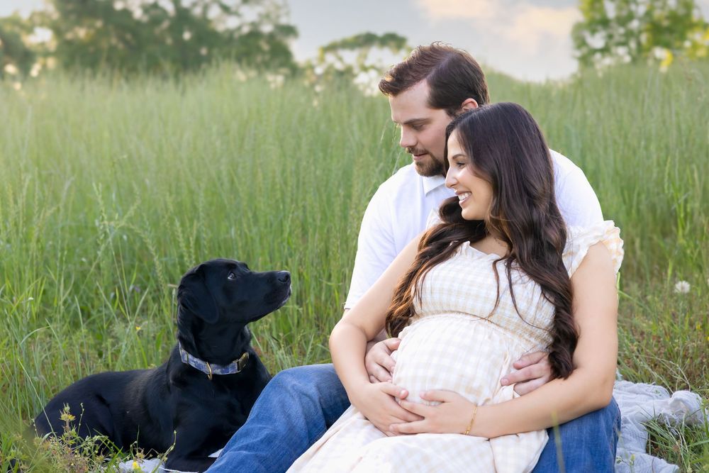 Expecting couple sitting in tall grass looking at their black lab at golden hour in Watkinsville GA