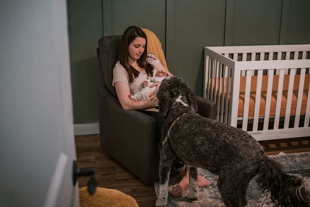 jessica bruner photography, central illinois photographer lifestyle newborn and maternity photographer