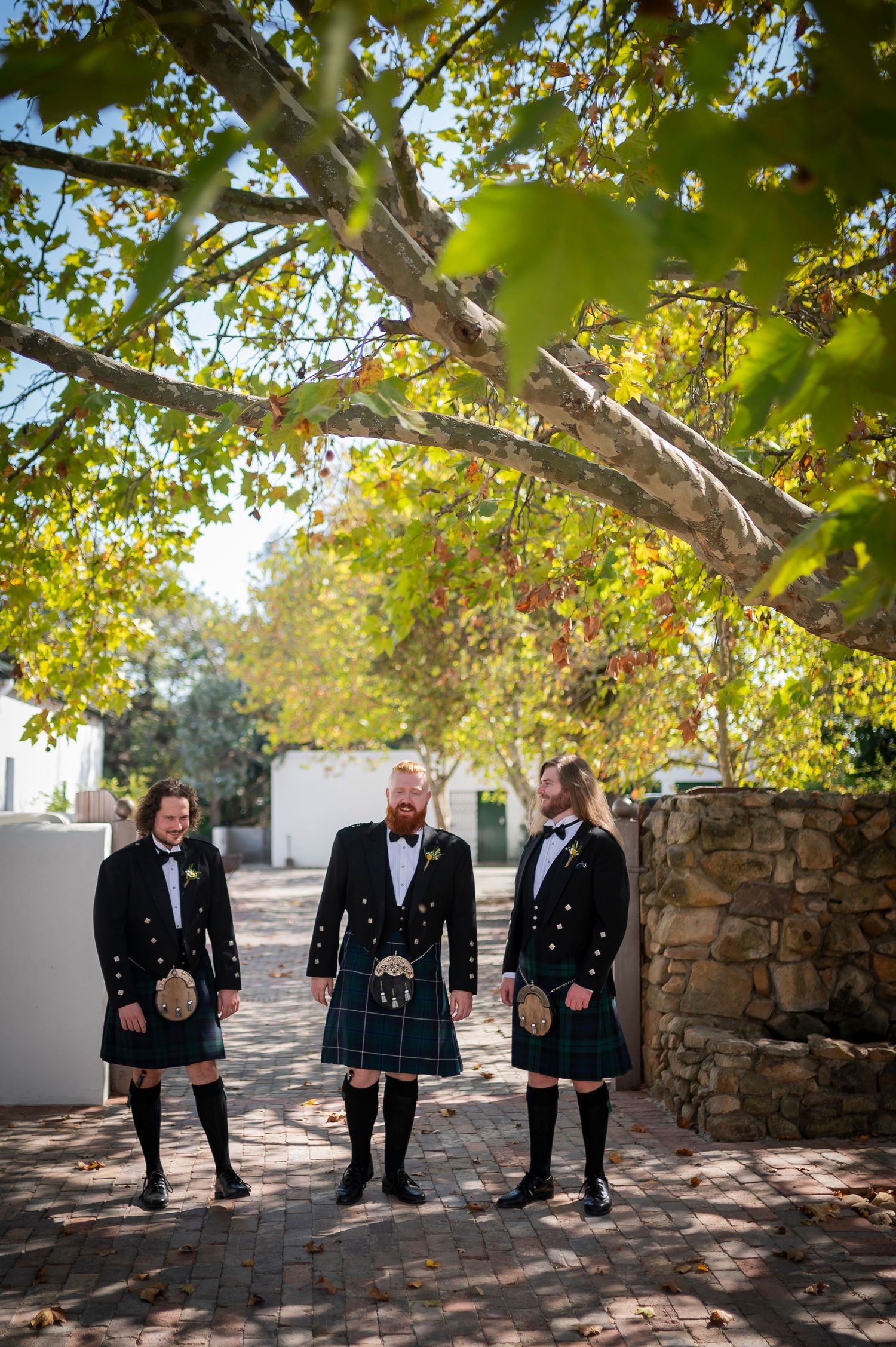 Wedding party in traditional Scottish kilts posing under sunlit trees outdoors.