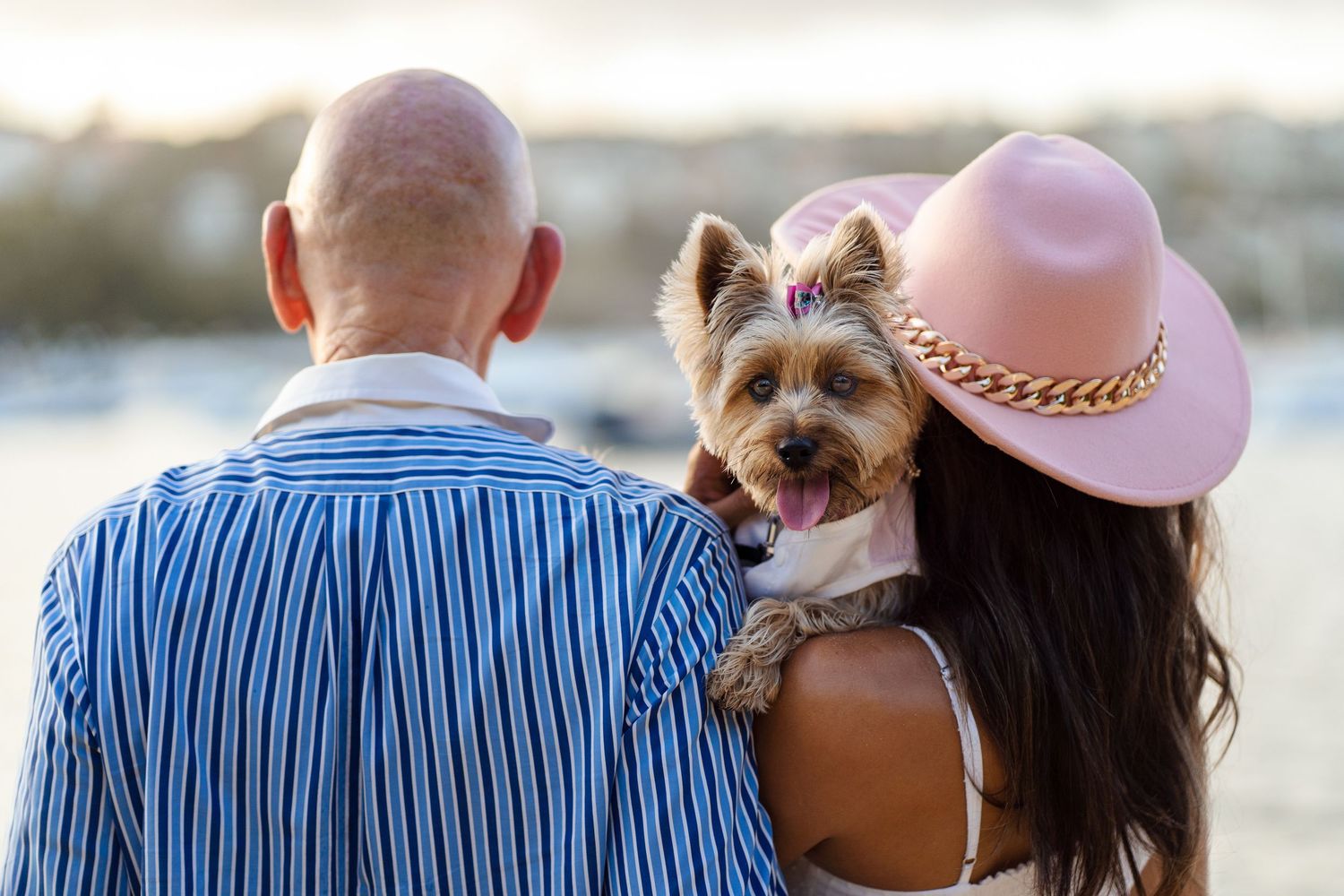 sydney photographer in Mosman taking photos of a couple with their Yorkshire terrier