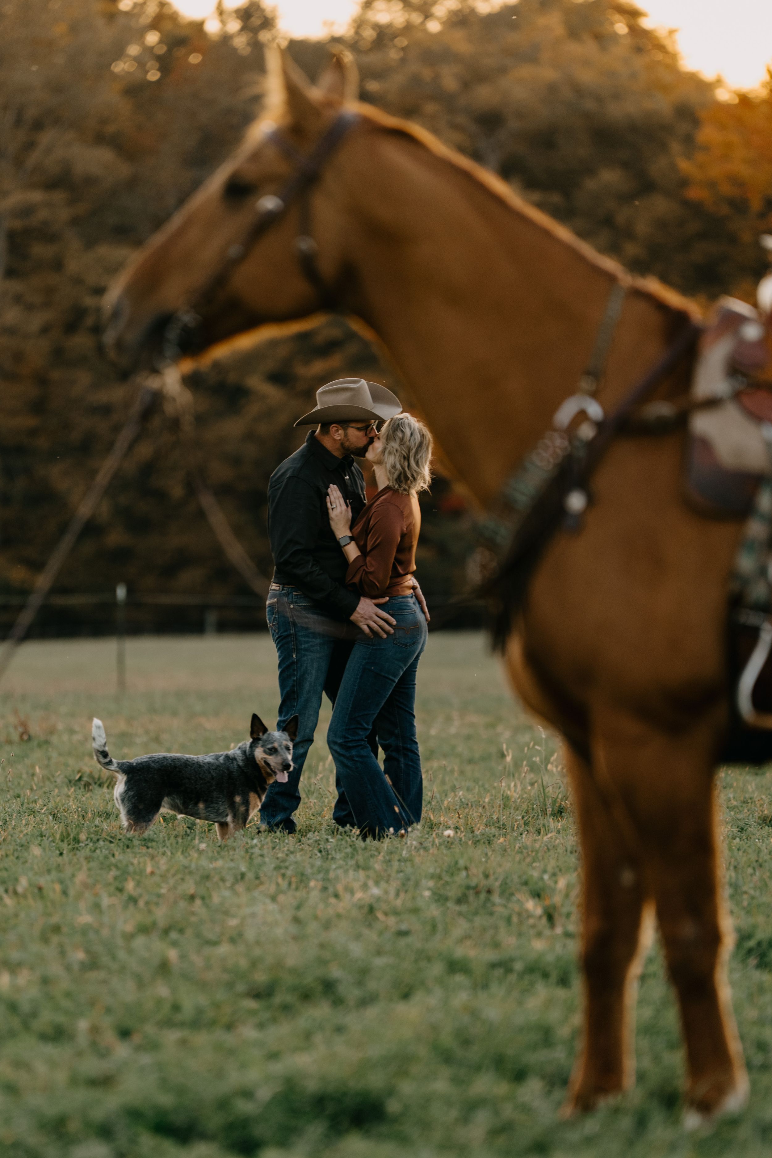 A romantic country scene with a couple embracing in a field at sunset, accompanied by a dog and horse.
