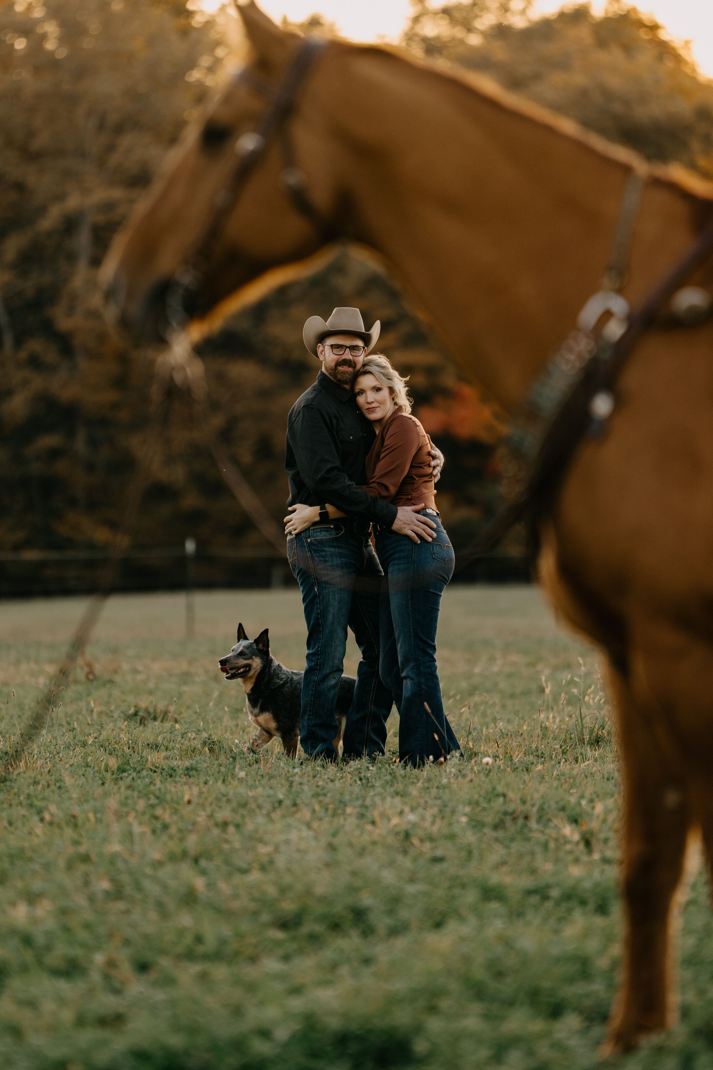 A couple shares an embrace in a field at sunset with their dog and horse visible in the warm golden light.