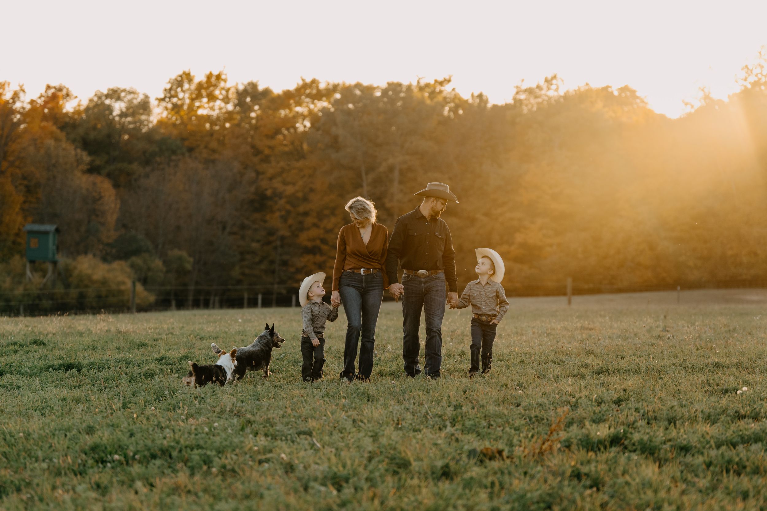 A family walks their dogs in a grassy field at sunset during golden hour as autumn trees glow in the background.