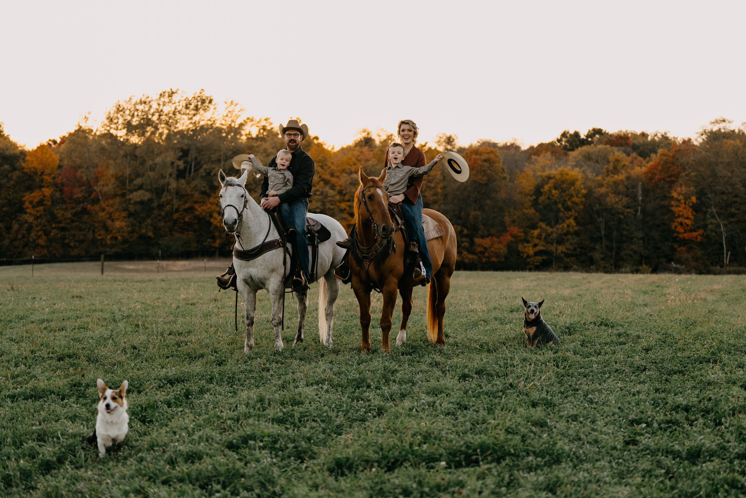 Horseback riders on a fall evening in a grassy field with two dogs running alongside at sunset.