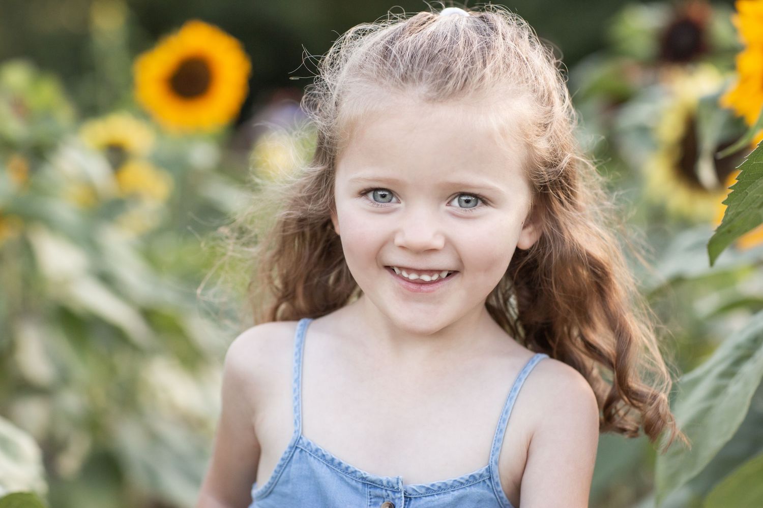 Cute curly-haired girl smiling in a sunflower field.