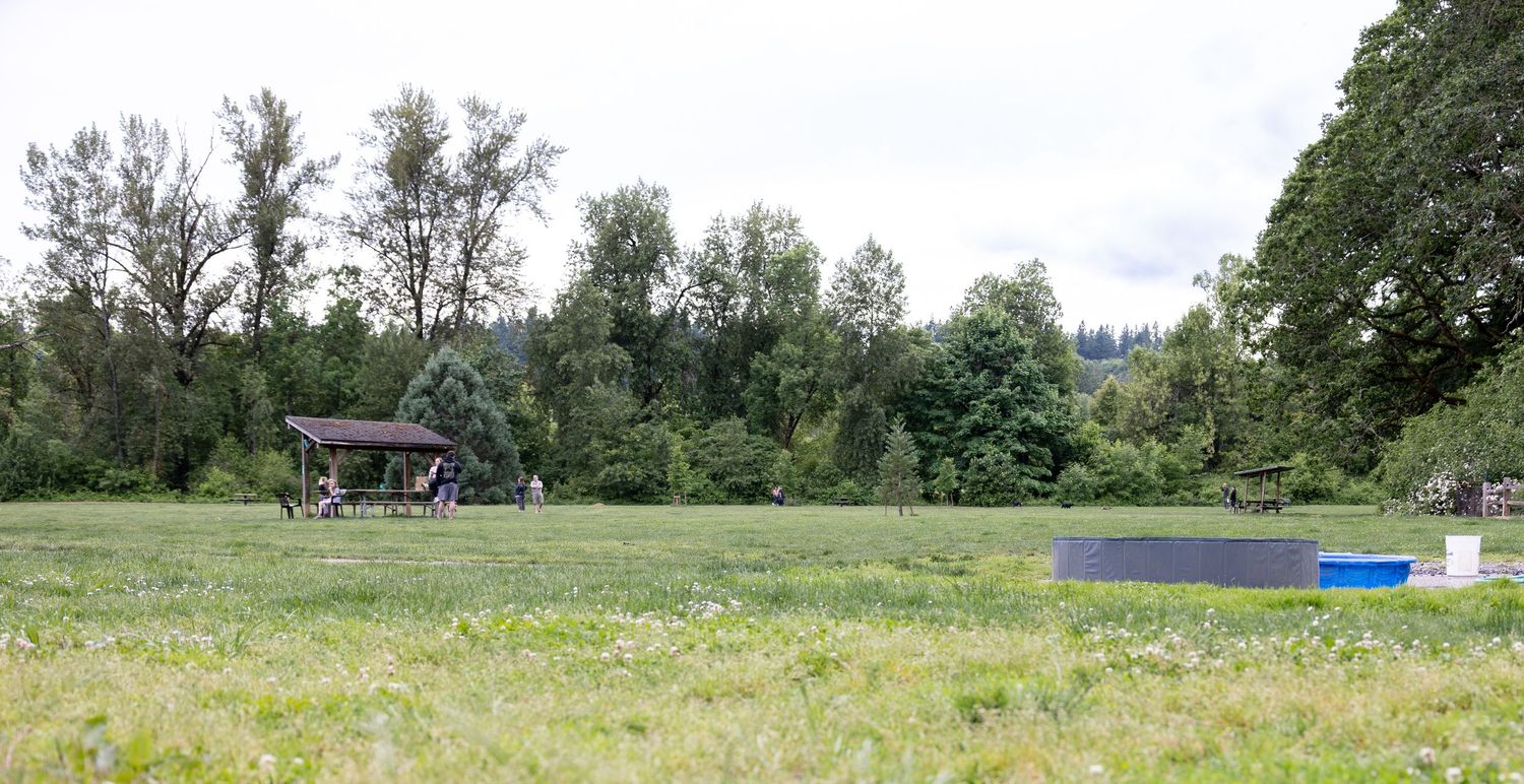 Mary S. Young dog park in West Linn, Oregon. Wading pool for dogs at the off-leash dog area.
