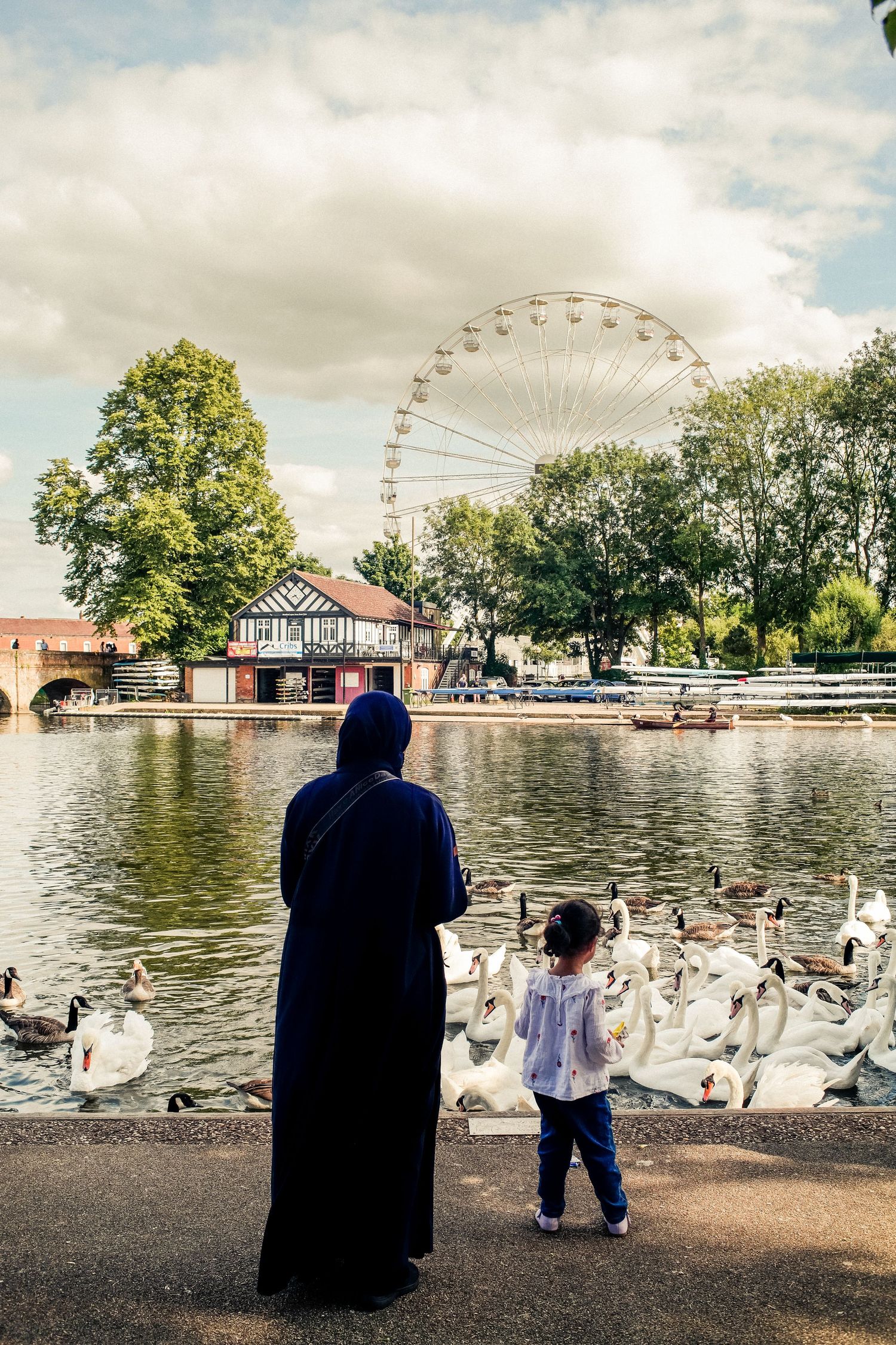 Swans gather at a lakeside with a ferris wheel visible in the background on a cloudy day.
