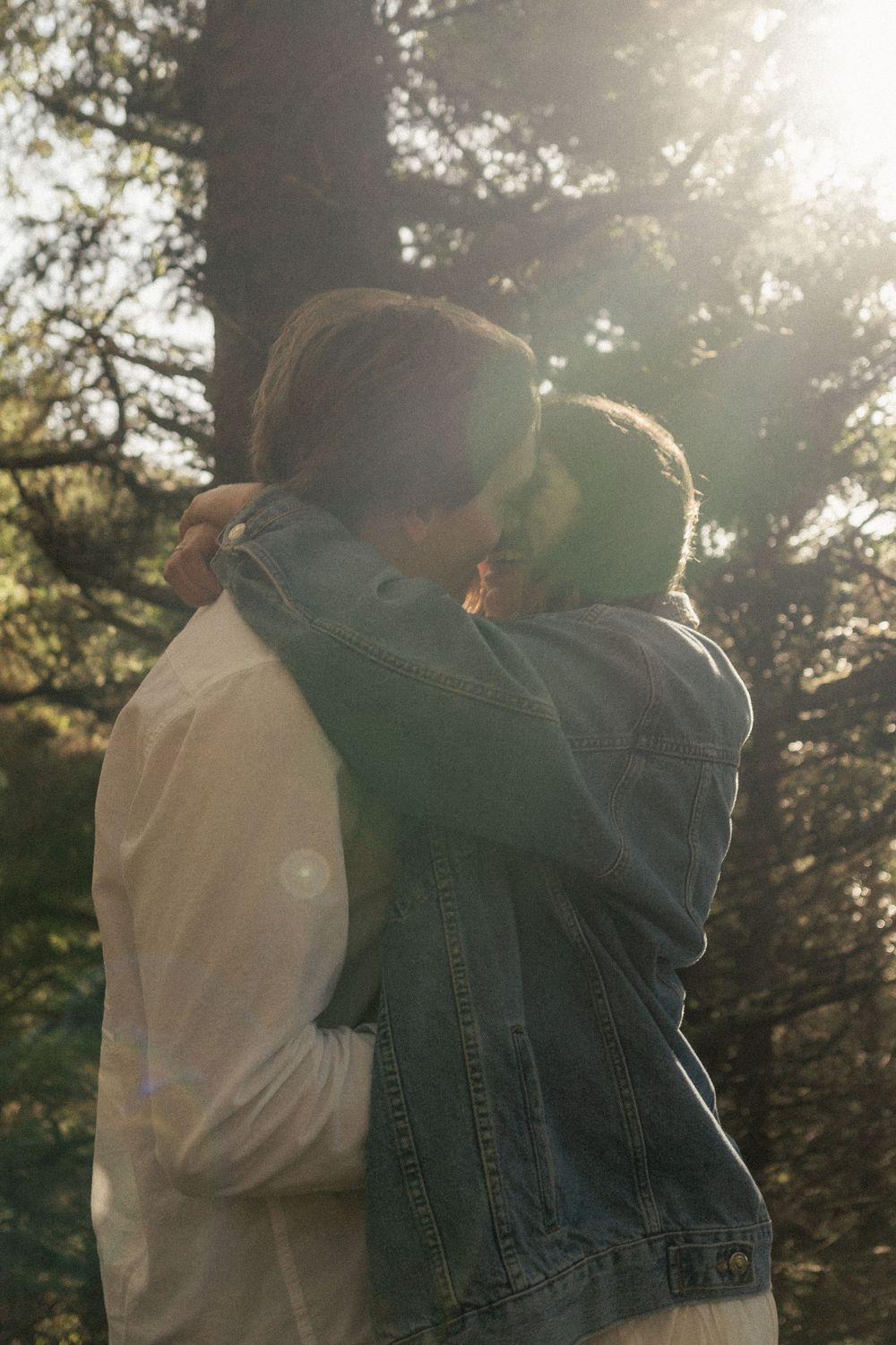 A tender embrace backlit by golden sunlight filtering through pine trees.