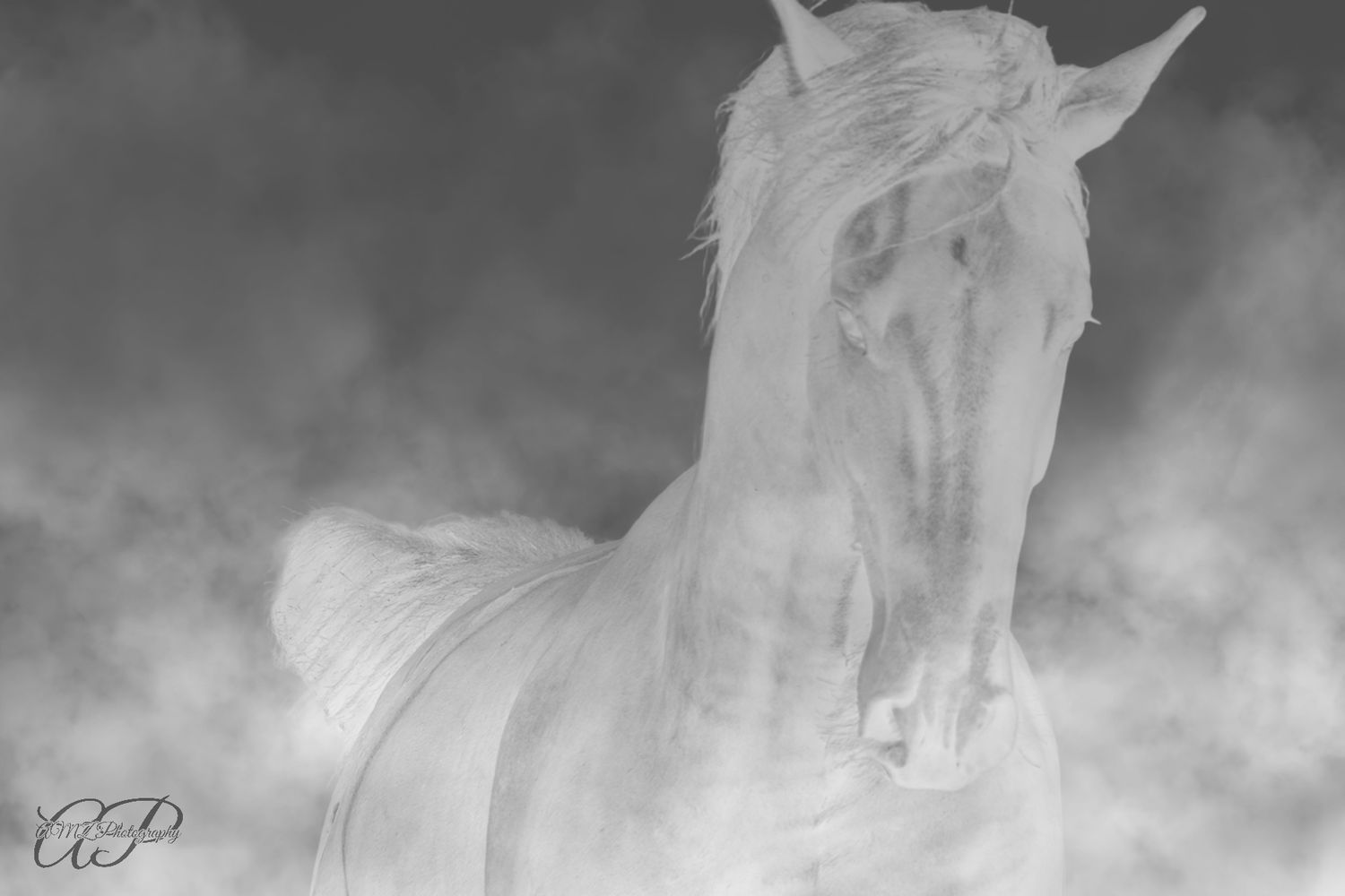 Ghost Horse
