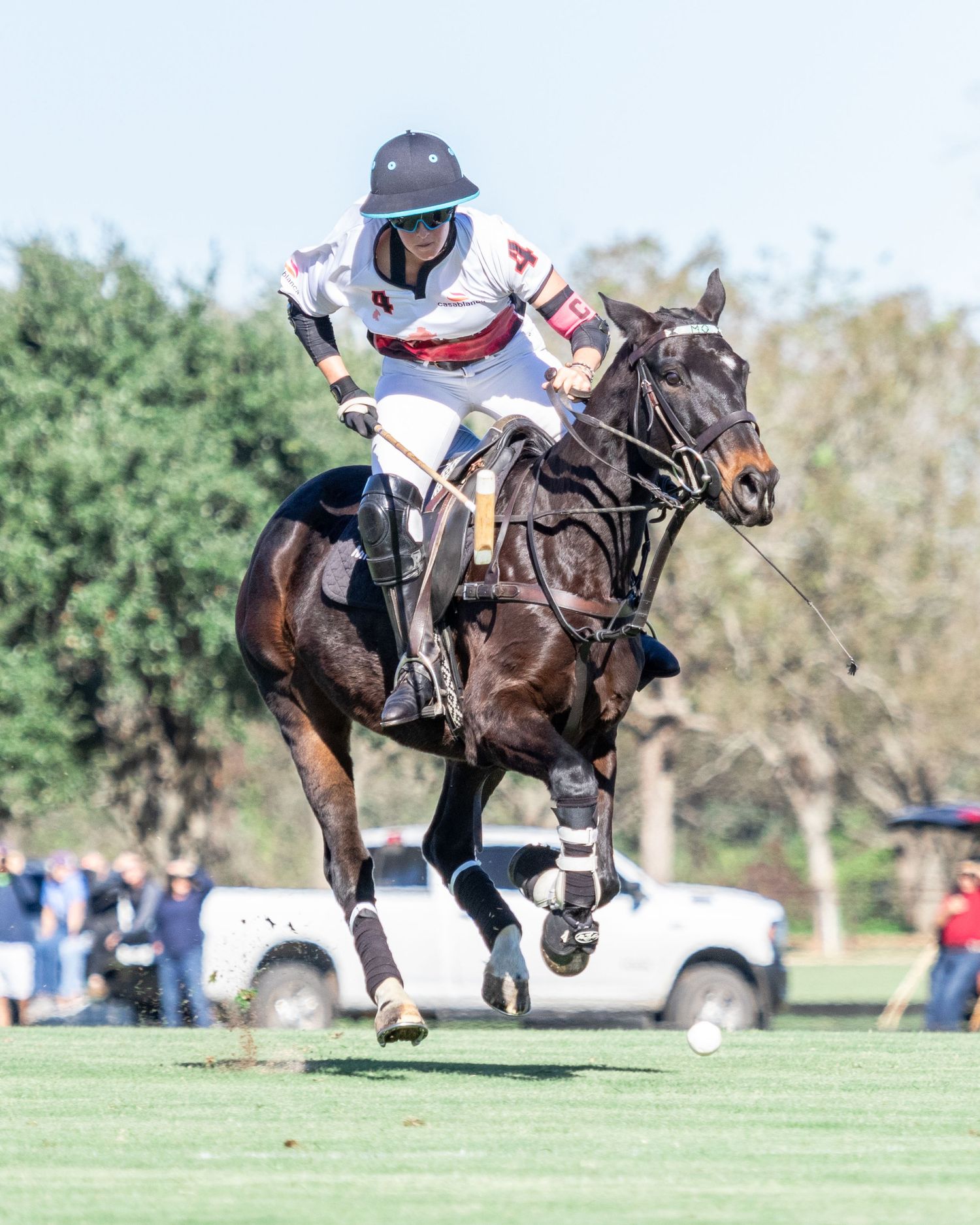 Polo