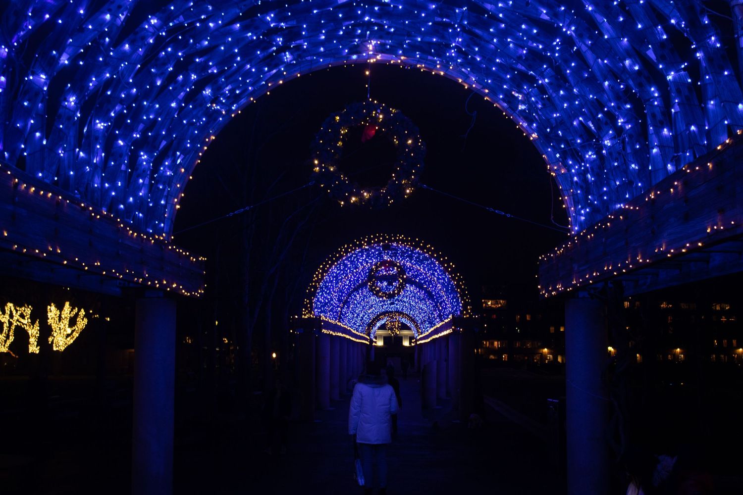 Tunnel of blue Christmas lights creates magical walkway at night.