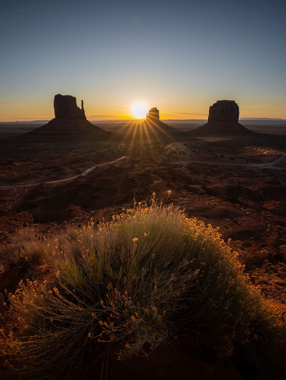 Vibrant desert sage plant silhouetted at sunset against the iconic Monument Valley buttes and colorful southwestern sky.