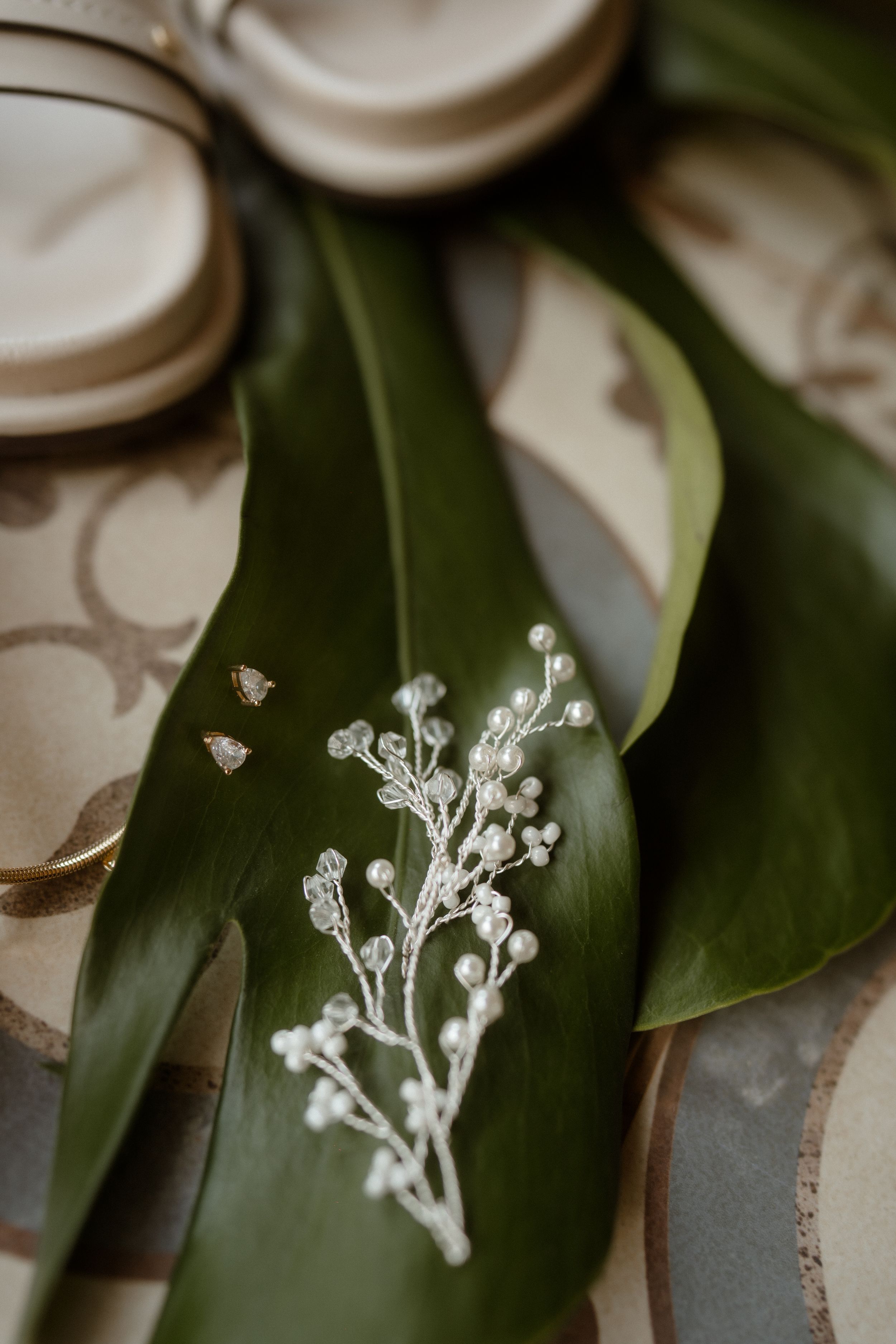 Small white flowers resting on dark green monstera leaves with decorative background.