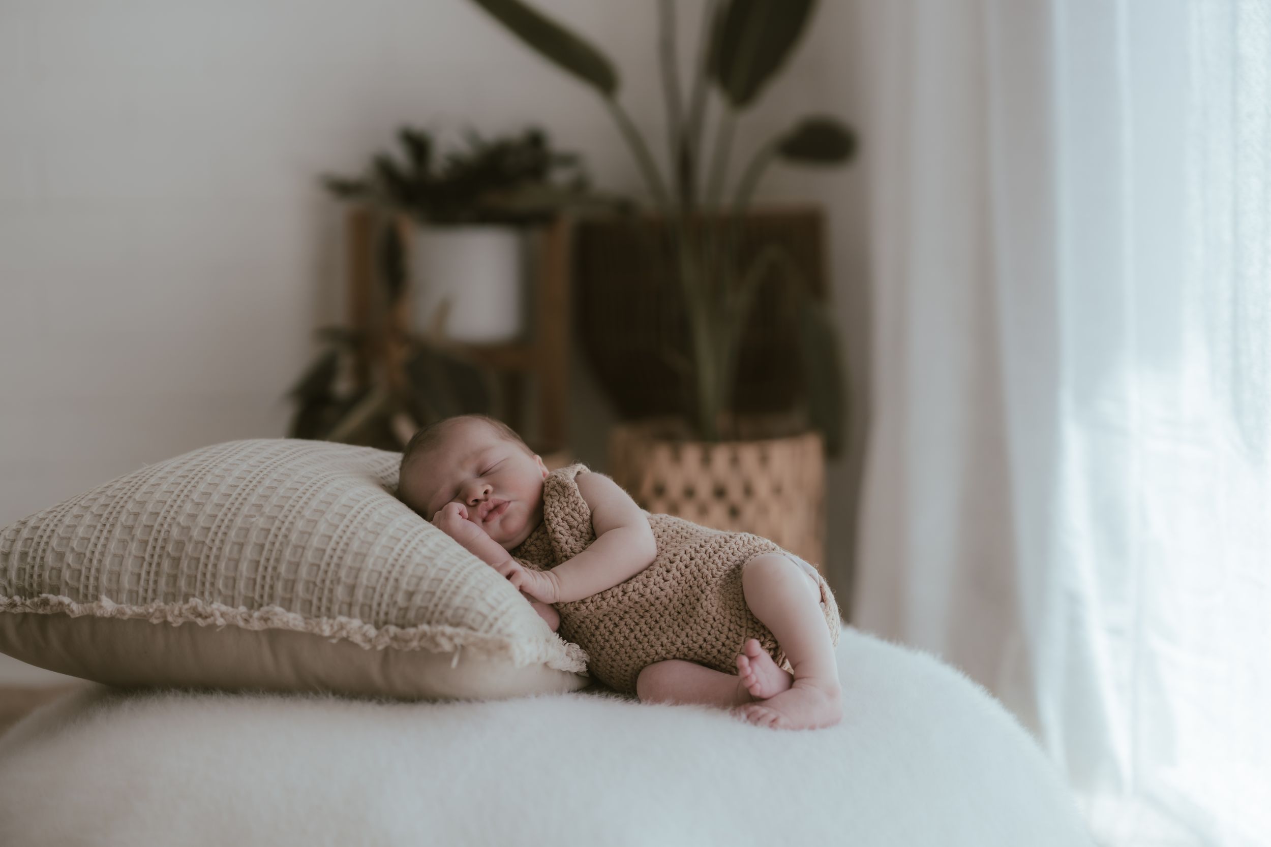 Cozy natural light scene with small infant sleeping on cream-colored bedding near a potted plant.