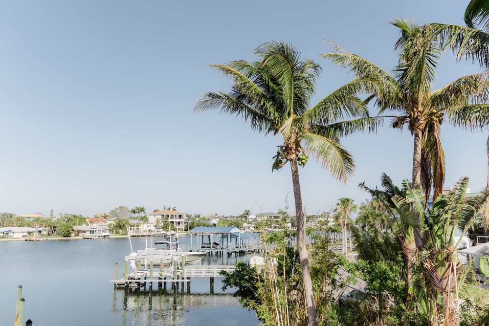 Palm trees line a waterfront property with boat docks and houses along a scenic coastal inlet during daytime.