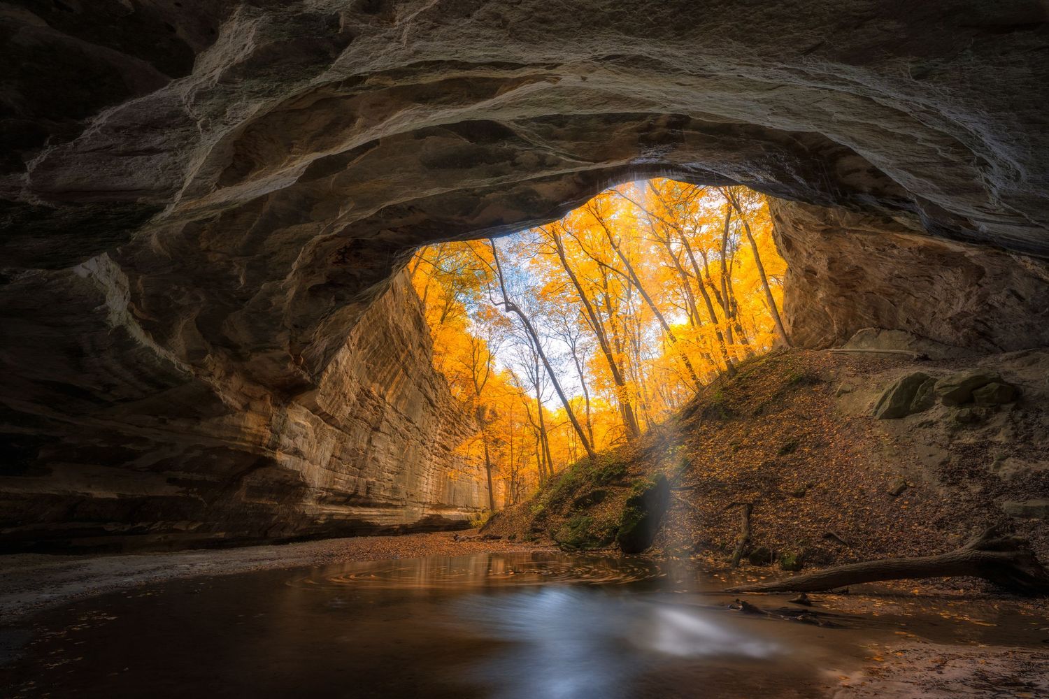 Stunning autumn trees visible through a natural cave opening with reflective water pool at Starved Rock State Park, Illinois.