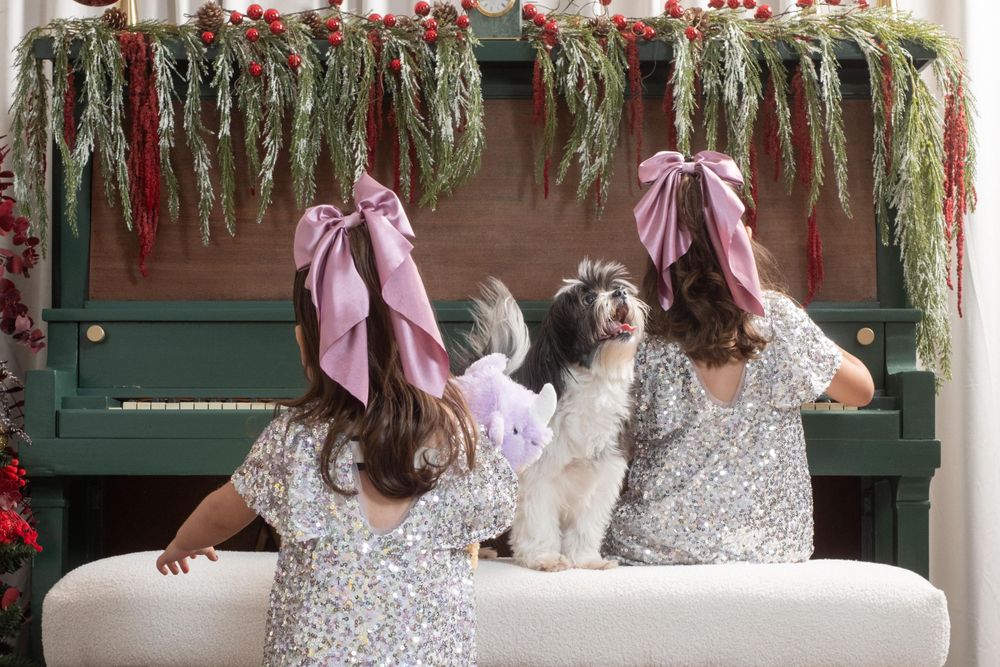 Magic Jingle Holiday Studio Alex Seyffert