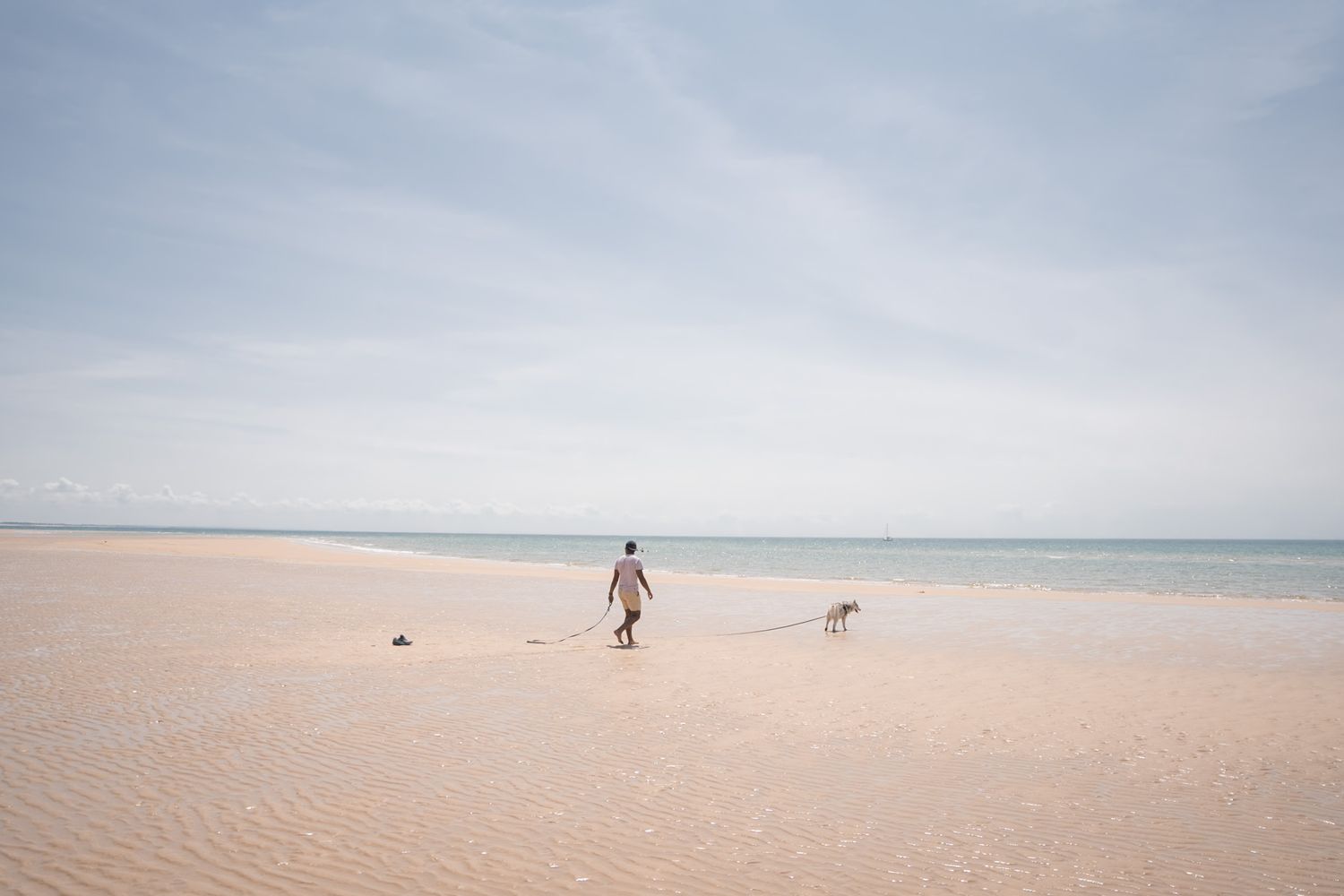 Baigneur et son chien sur la plage de la Potinière dans le département de la Manche en Normandie - Cotentin.