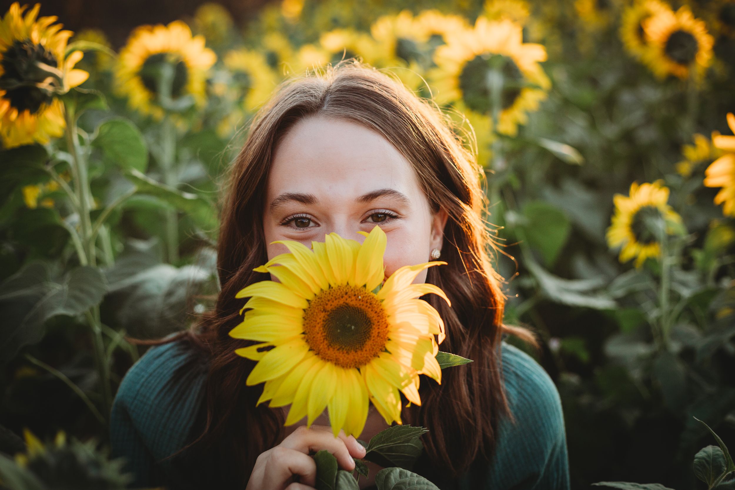 A person holding a bright sunflower against a field of blooming sunflowers at sunset.