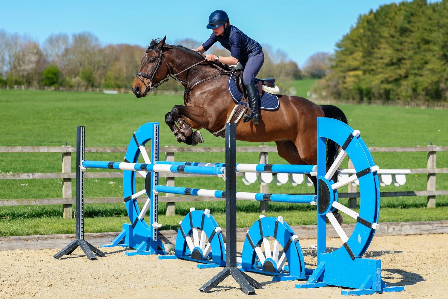 horse photography