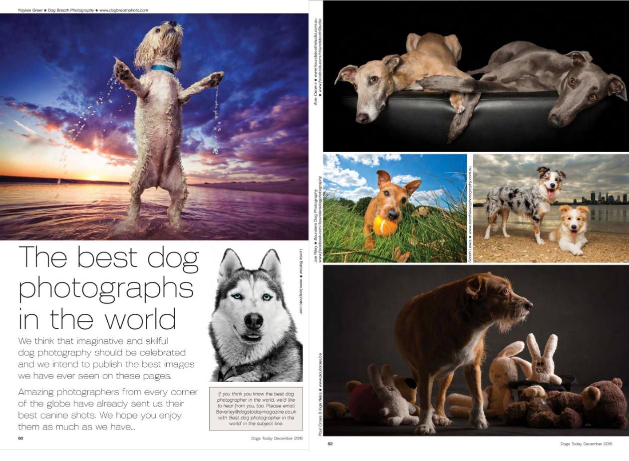 Magazine publication of Sarah Lewis photos