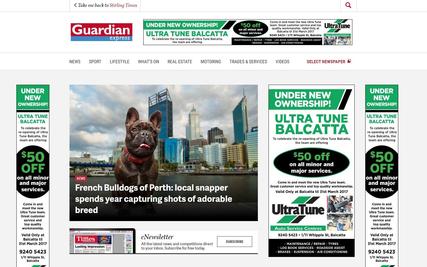 Online article about Perth Pet Photographer