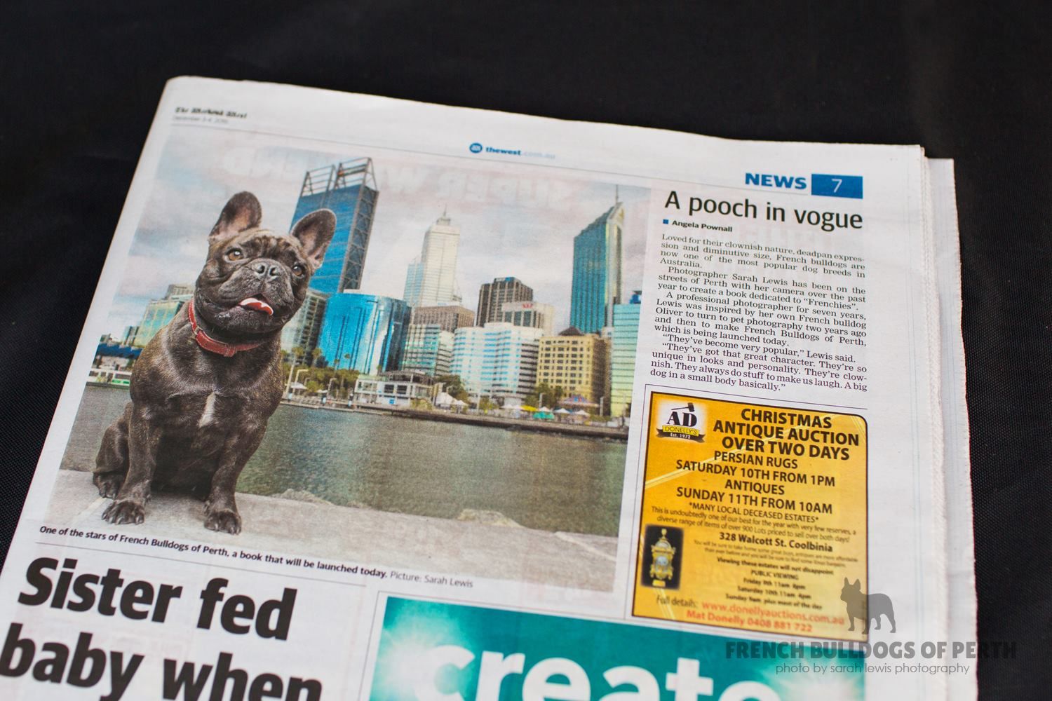 Newspaper article about Perth Pet Photographer