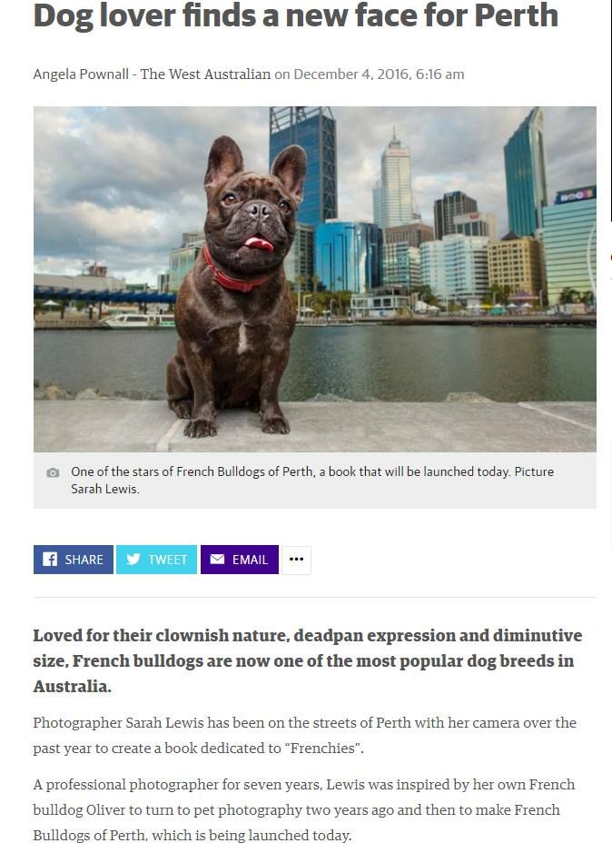 Online article about Perth Pet Photographer